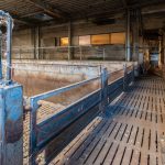 Slaughterhouse De Lokery - Belgium